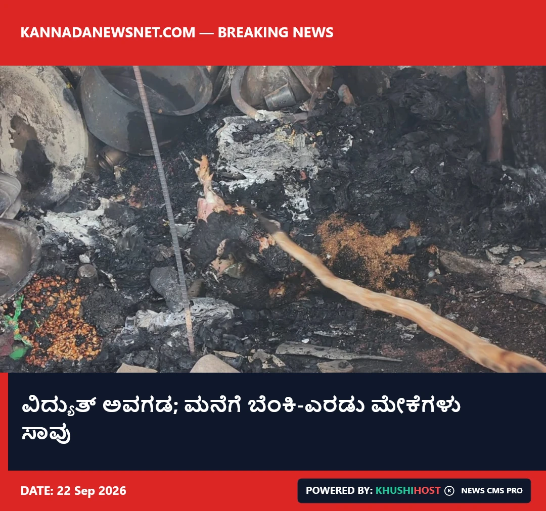 ವಿದ್ಯುತ್ ಅವಗಡ; ಮನೆಗೆ ಬೆಂಕಿ-ಎರಡು ಮೇಕೆಗಳು ಸಾವು