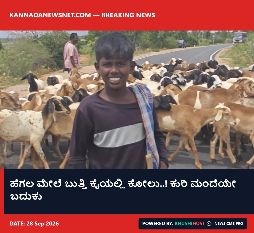 ಹೆಗಲ ಮೇಲೆ ಬುತ್ತಿ ಕೈಯಲ್ಲಿ ಕೋಲು..! ಕುರಿ ಮಂದೆಯೇ ಬದುಕು