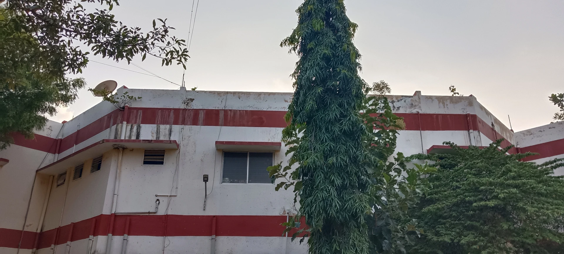  ಮಧುಗಿರಿ ಸರ್ಕಾರಿ ಪ್ರಥಮ ದರ್ಜೆ ಕಾಲೇಜಿನ  ಮೇಲ್ಚಾವಣಿಯಲ್ಲಿ ಹುಲುಸಾಗಿ ಬೆಳೆದ ಗಿಡಗೆಂಟೆ