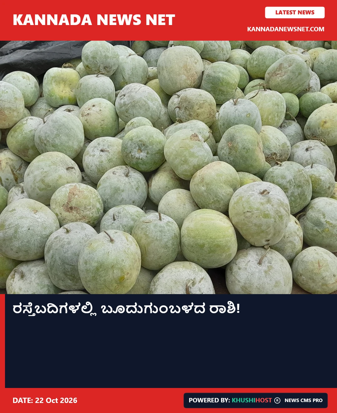 ಕೊಳ್ಳುವವರಿಲ್ಲದೆ ರಸ್ತೆಬದಿಗಳಲ್ಲಿ ಬೂದುಗುಂಬಳದ ರಾಶಿ!