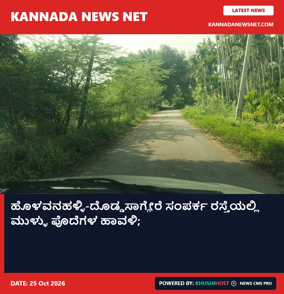 ಹೊಳವನಹಳ್ಳಿ-ದೊಡ್ಡಸಾಗ್ಗೇರೆ ಸಂಪರ್ಕ ರಸ್ತೆಯಲ್ಲಿ ಮುಳ್ಳು ಪೊದೆಗಳ ಹಾವಳಿ;